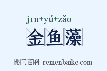 金鱼藻是什么意思的图片